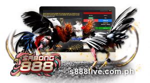 Sps888.live log in  English